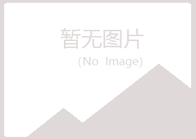 兴山区残缺能源有限公司